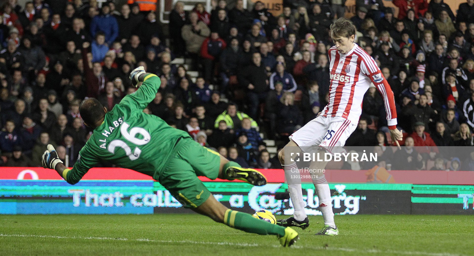 Football - Stoke City v Wigan Athletic - Barclays Premier