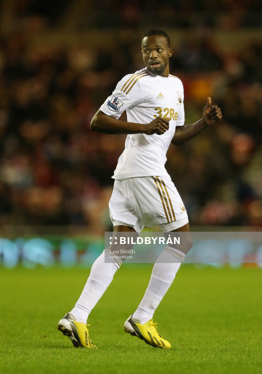 Football - Sunderland v Swansea City - Barclays Premier