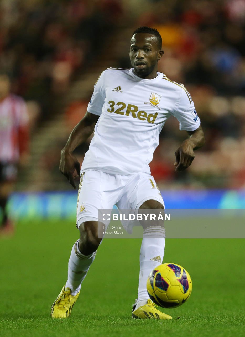 Football - Sunderland v Swansea City - Barclays Premier