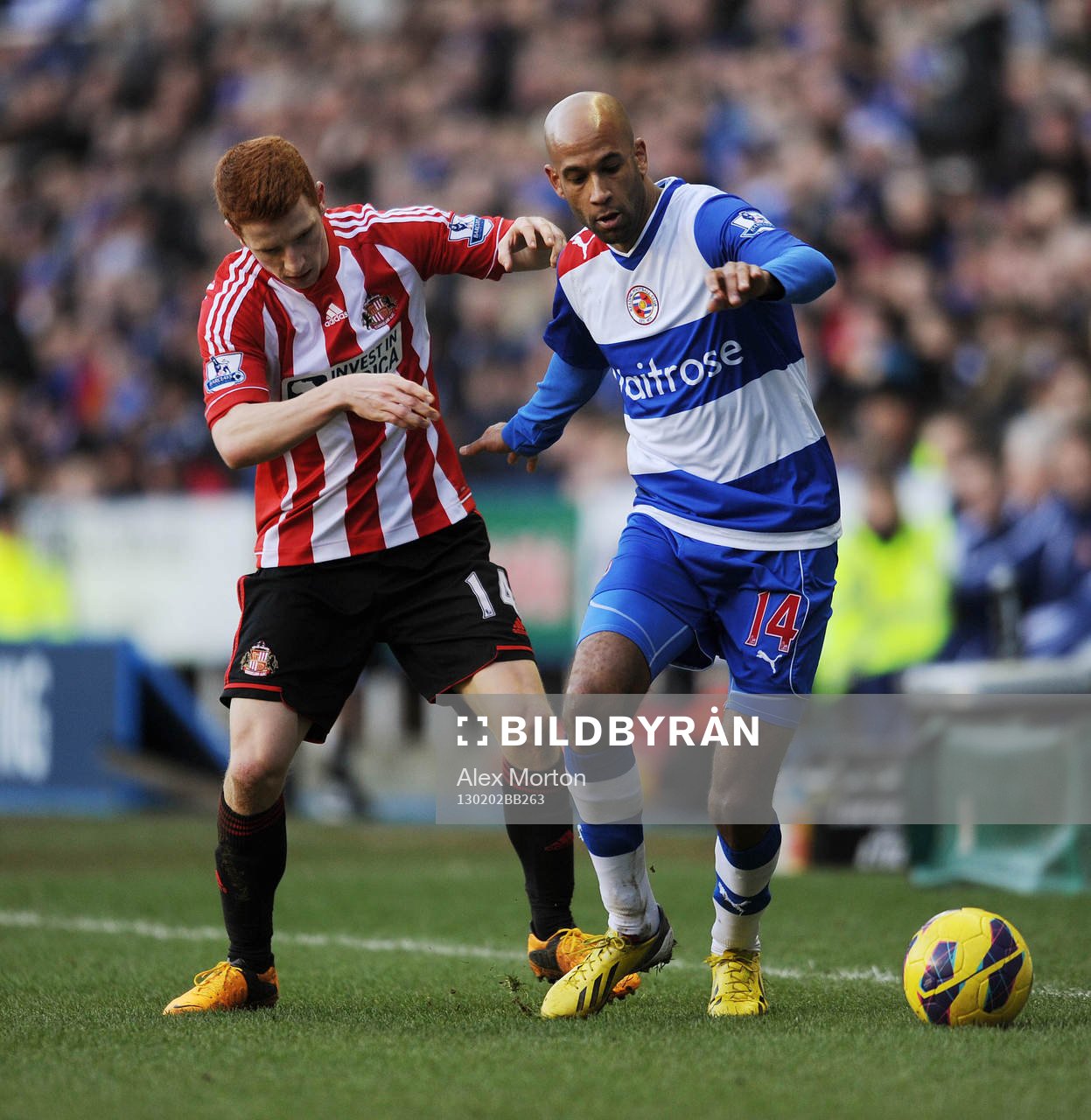 Football - Reading v Sunderland - Barclays Premier League