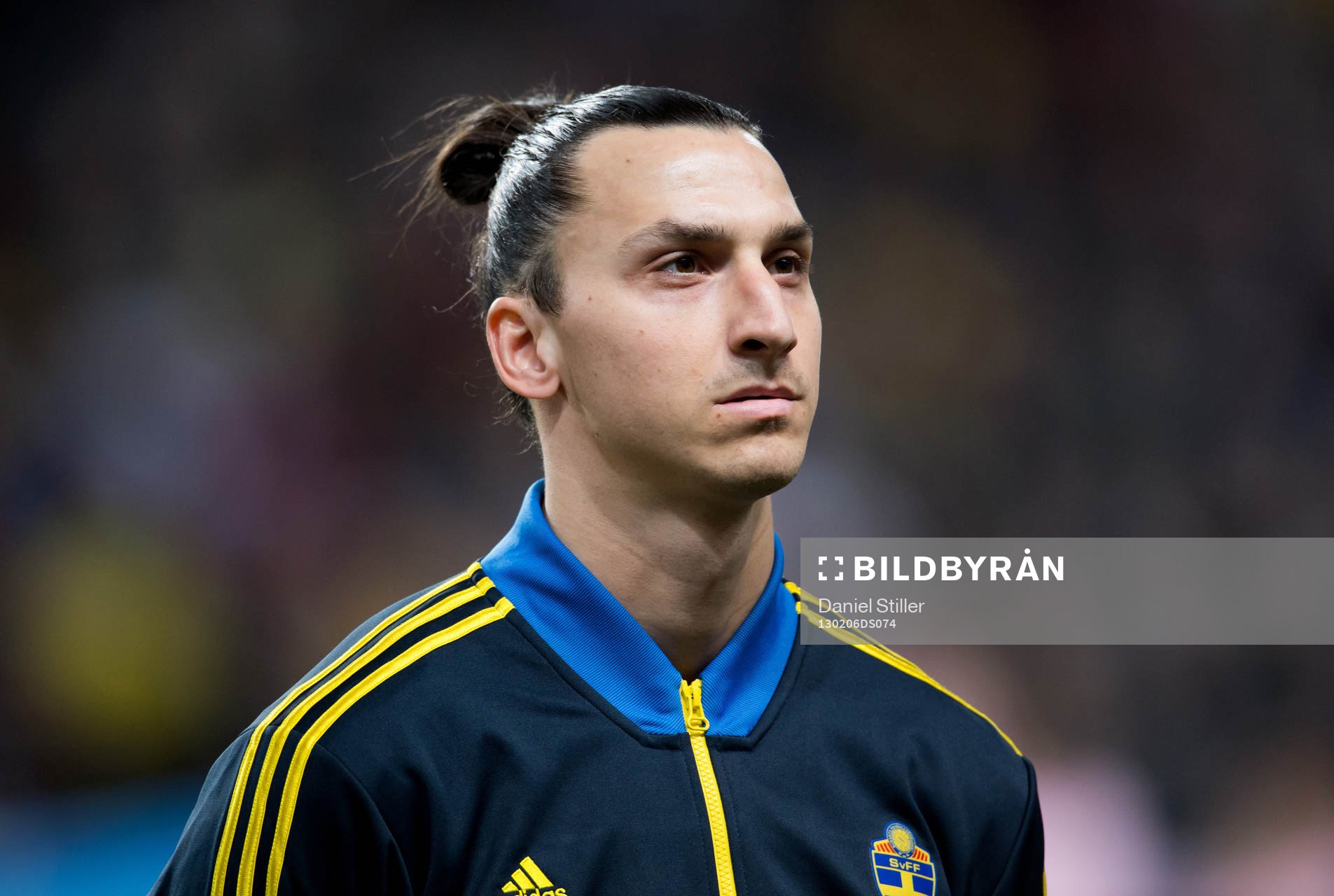 Zlatan Ibrahimović, Sverige
