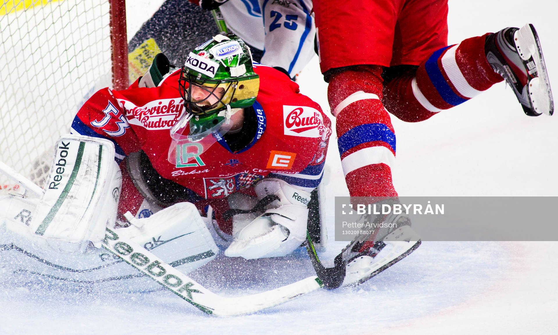 Alexander Salak, målvakt, Tjeckien