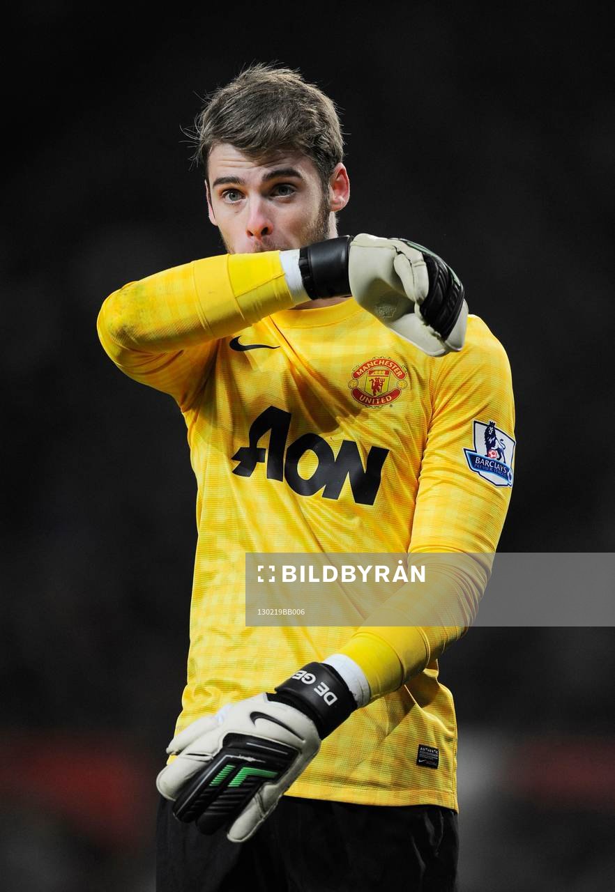 David De Gea     - 18.02.2013 - Manchester United / Reading