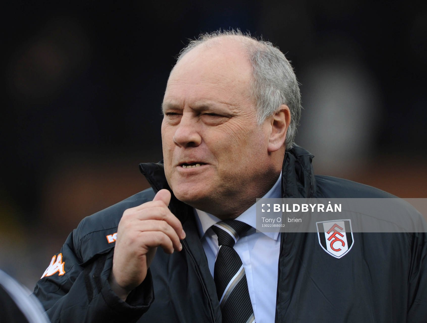 Football - Fulham v Stoke City - Barclays Premier League  -
