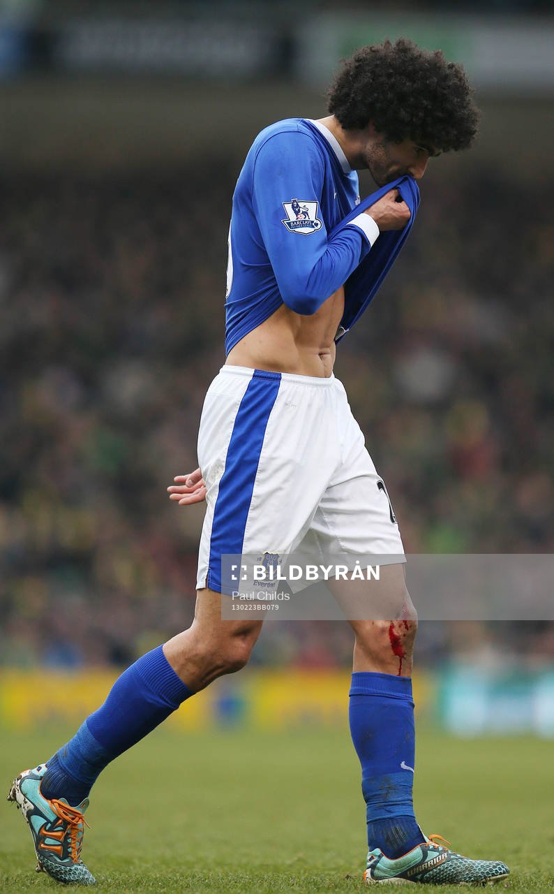 Football - Norwich City v Everton - Barclays Premier League