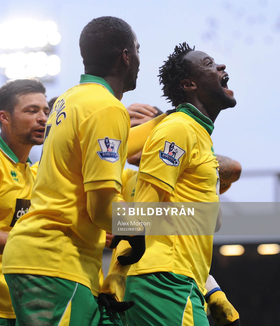 Football - Norwich City v Everton - Barclays Premier League