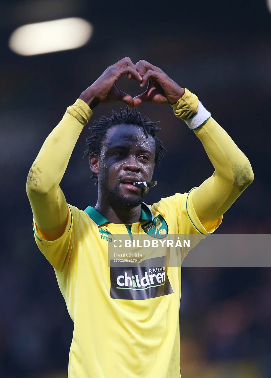 Football - Norwich City v Everton - Barclays Premier League