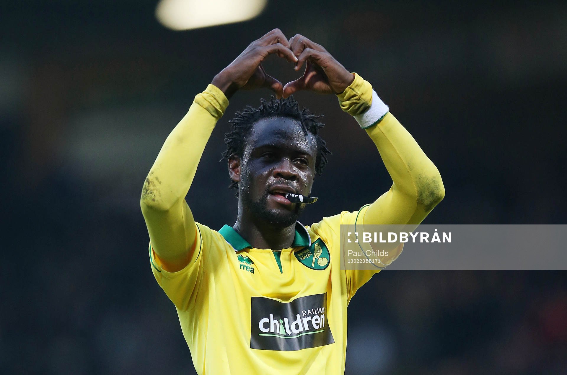 Football - Norwich City v Everton - Barclays Premier League