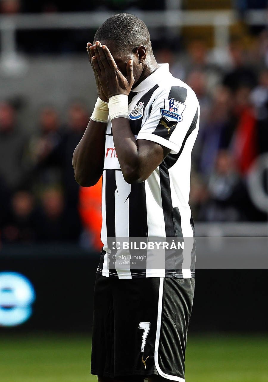 Football - Newcastle United v Southampton - Barclays