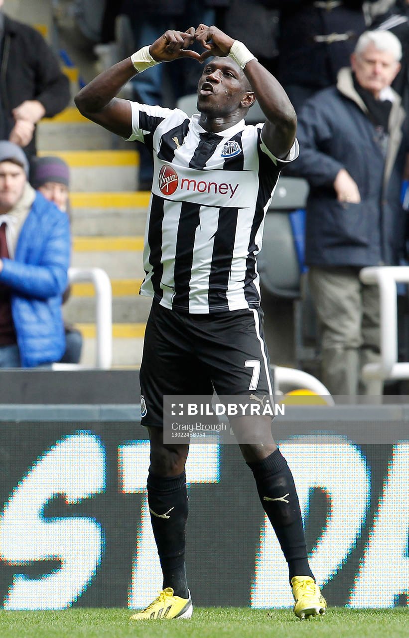 l - Newcastle United v Southampton - Barclays Premier