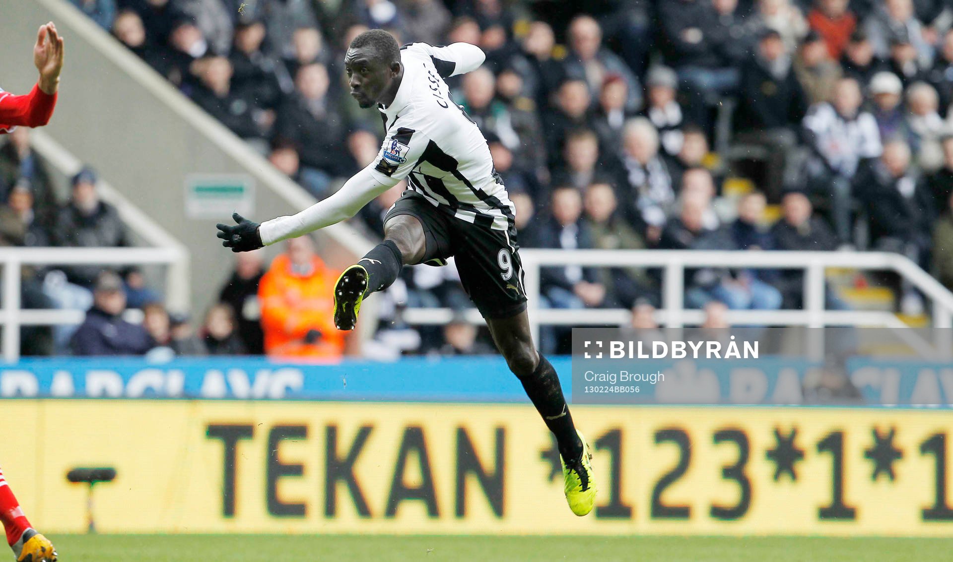 l - Newcastle United v Southampton - Barclays Premier