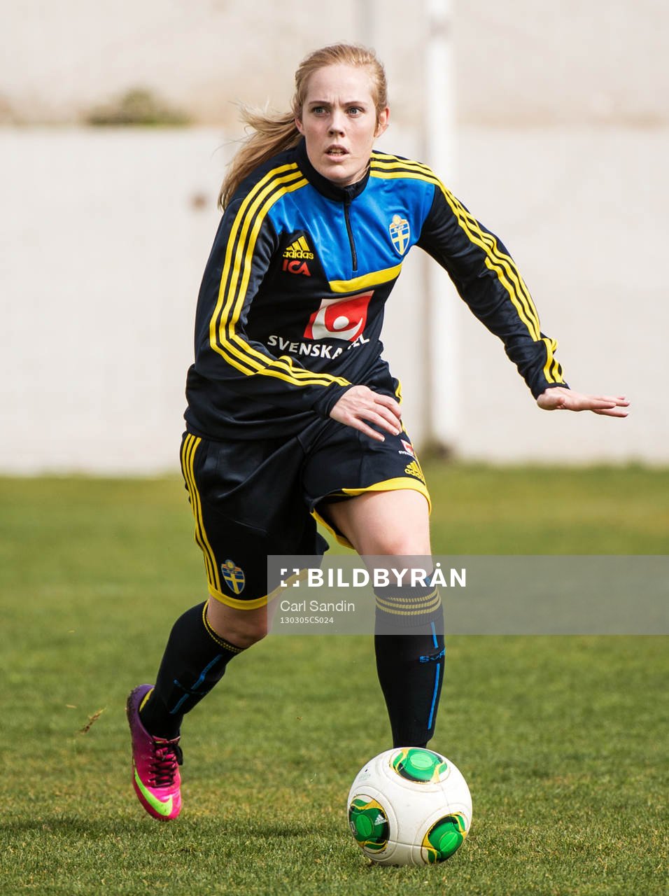 Carina Holmberg, Sverige