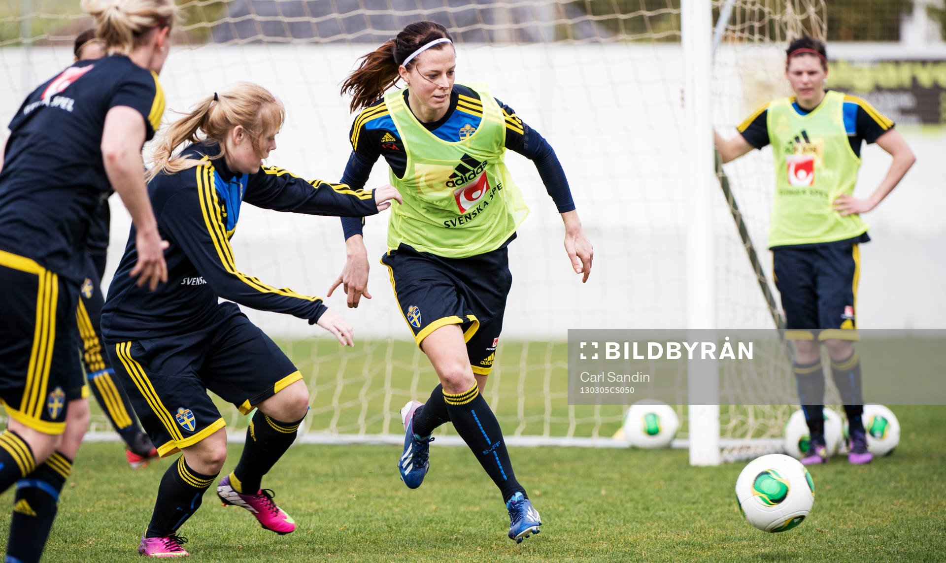 Lotta Schelin, Sverige