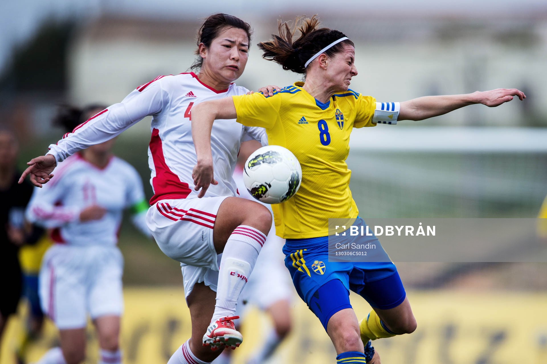 Lotta Schelin, Sverige