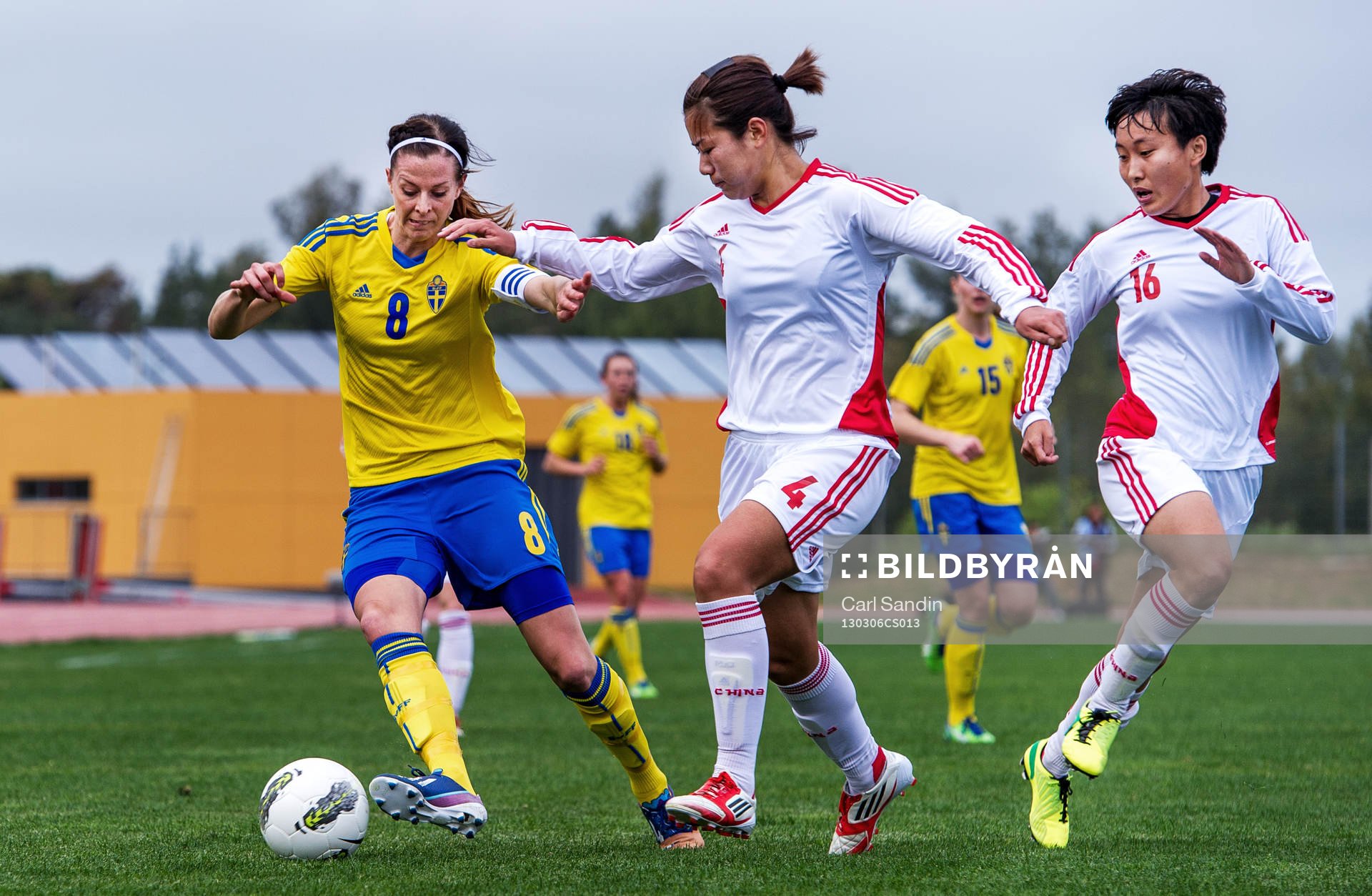 Lotta Schelin, Sverige
