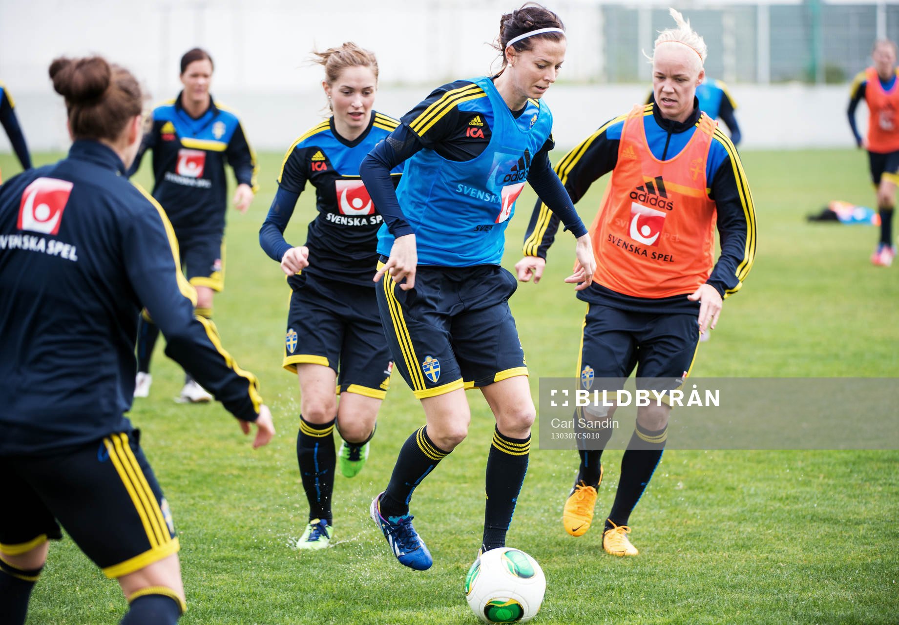 Lotta Schelin, Sverige