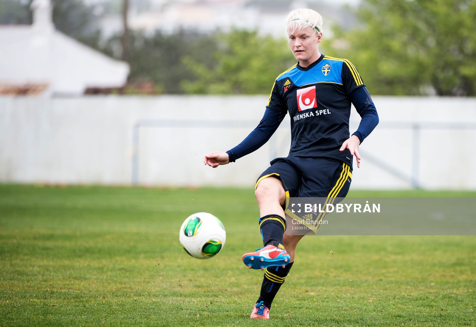 Nilla Fischer, Sverige