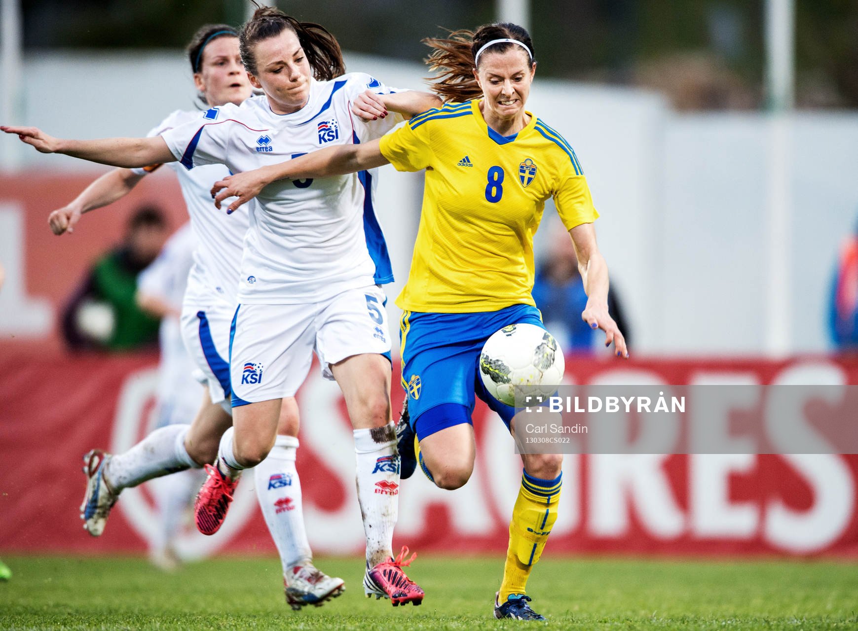 Lotta Schelin, Sverige