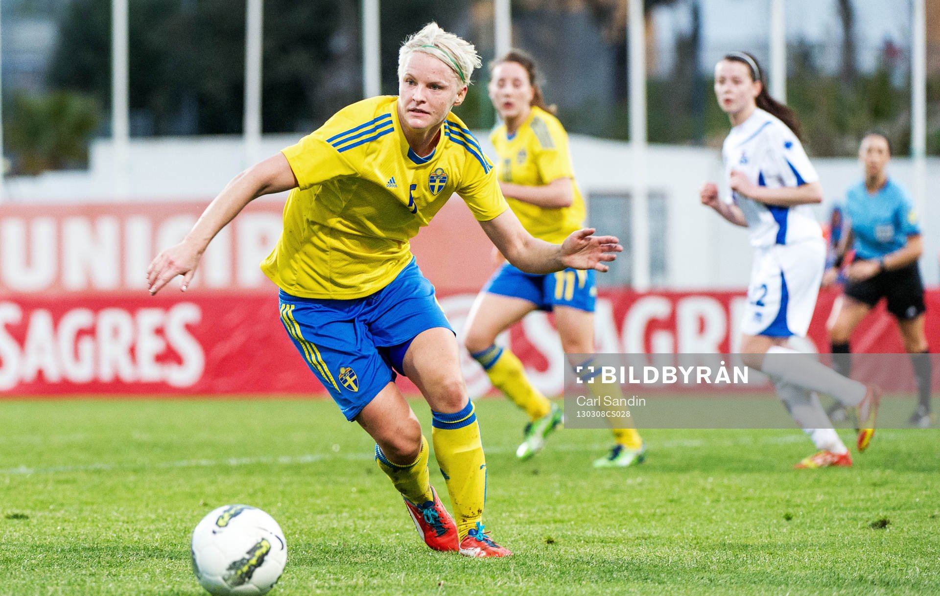 Nilla Fischer, Sverige