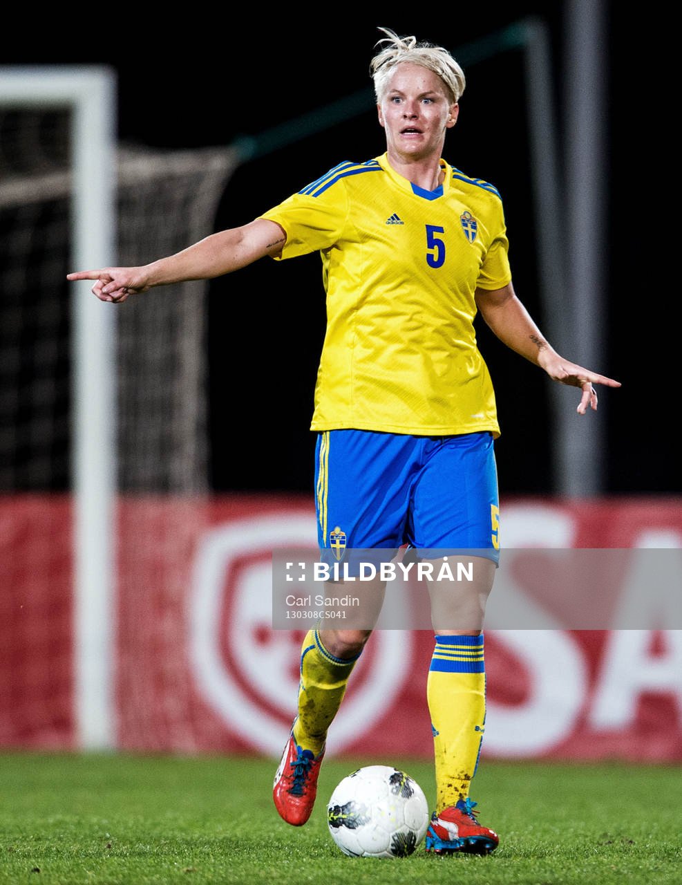 Nilla Fischer, Sverige