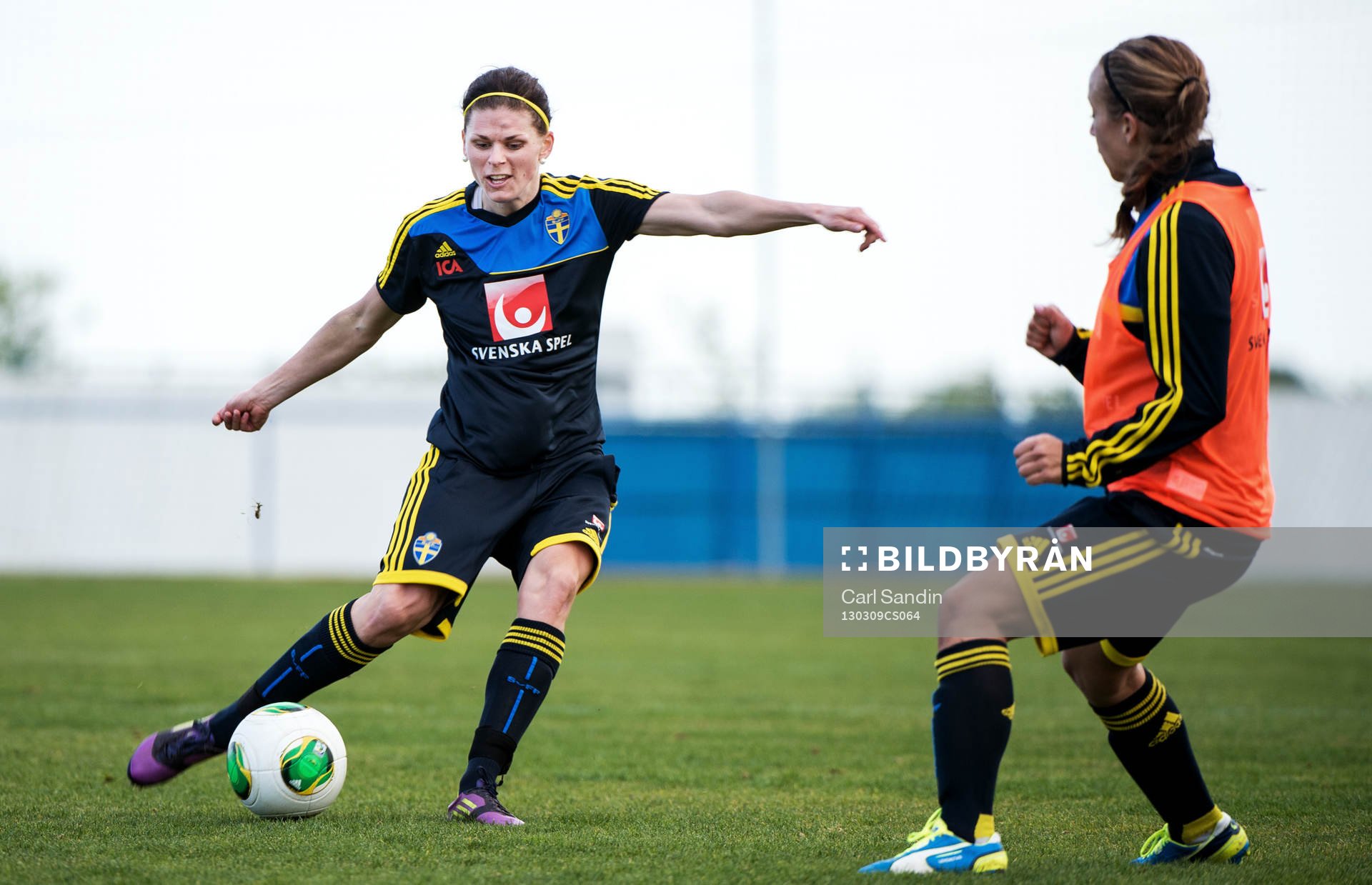 Susanne Moberg, Sverige