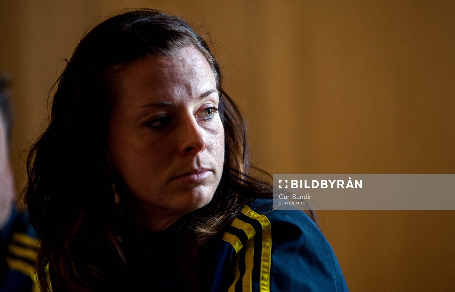 Lotta Schelin, Sverige