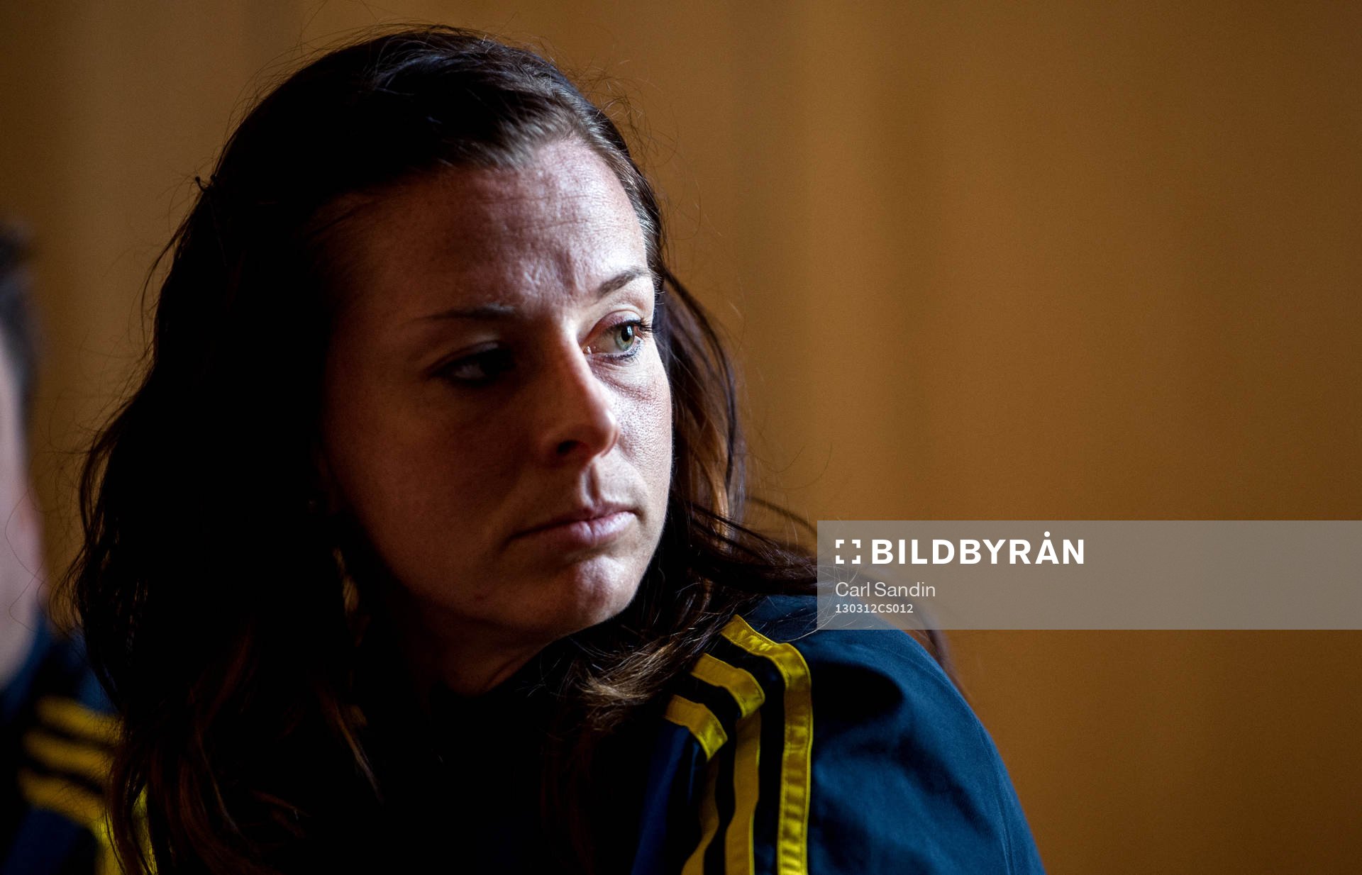 Lotta Schelin, Sverige
