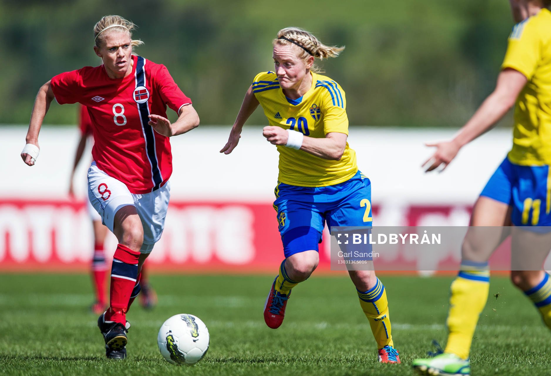 Marie Hammarström, Sverige