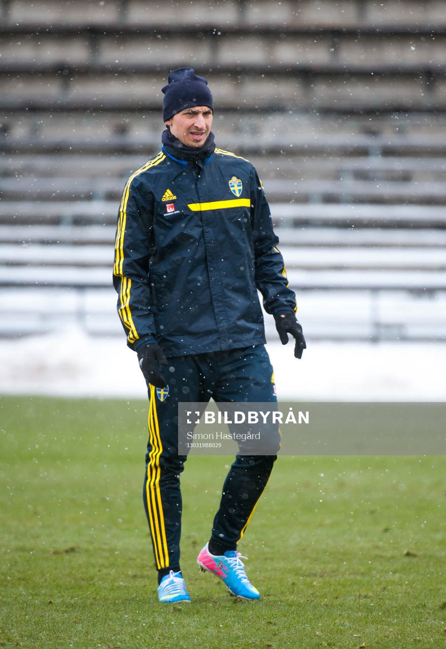 Zlatan Ibrahimovic
