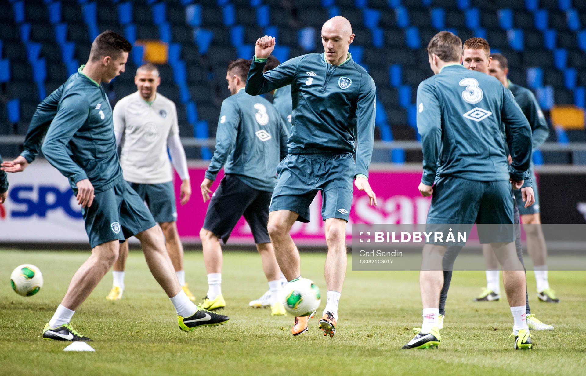 Conor Sammon, Irland
