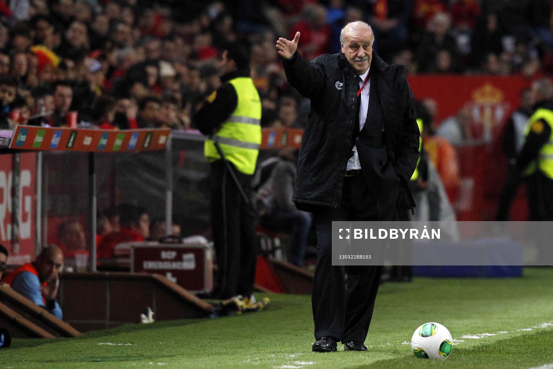 Vicente del Bosque - 22.03.2013 - Espagne / Finlande -