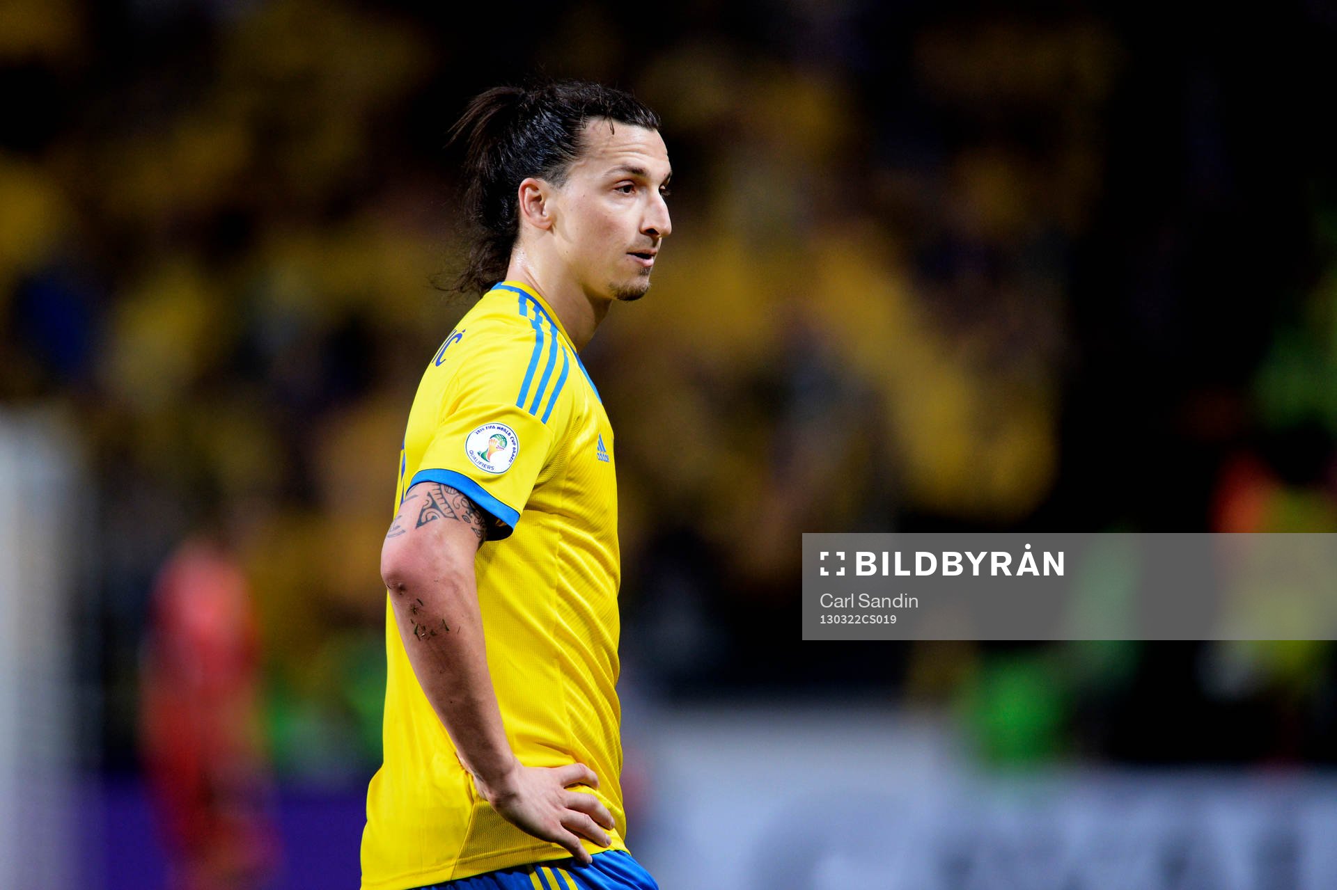 Zlatan Ibrahimović, Sverige