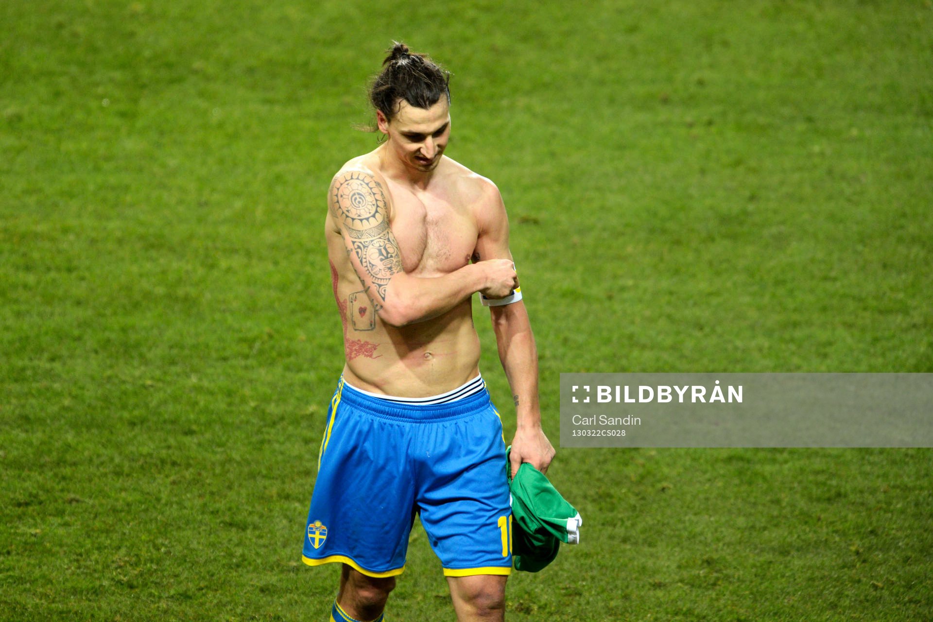Zlatan Ibrahimović, Sverige går av planen