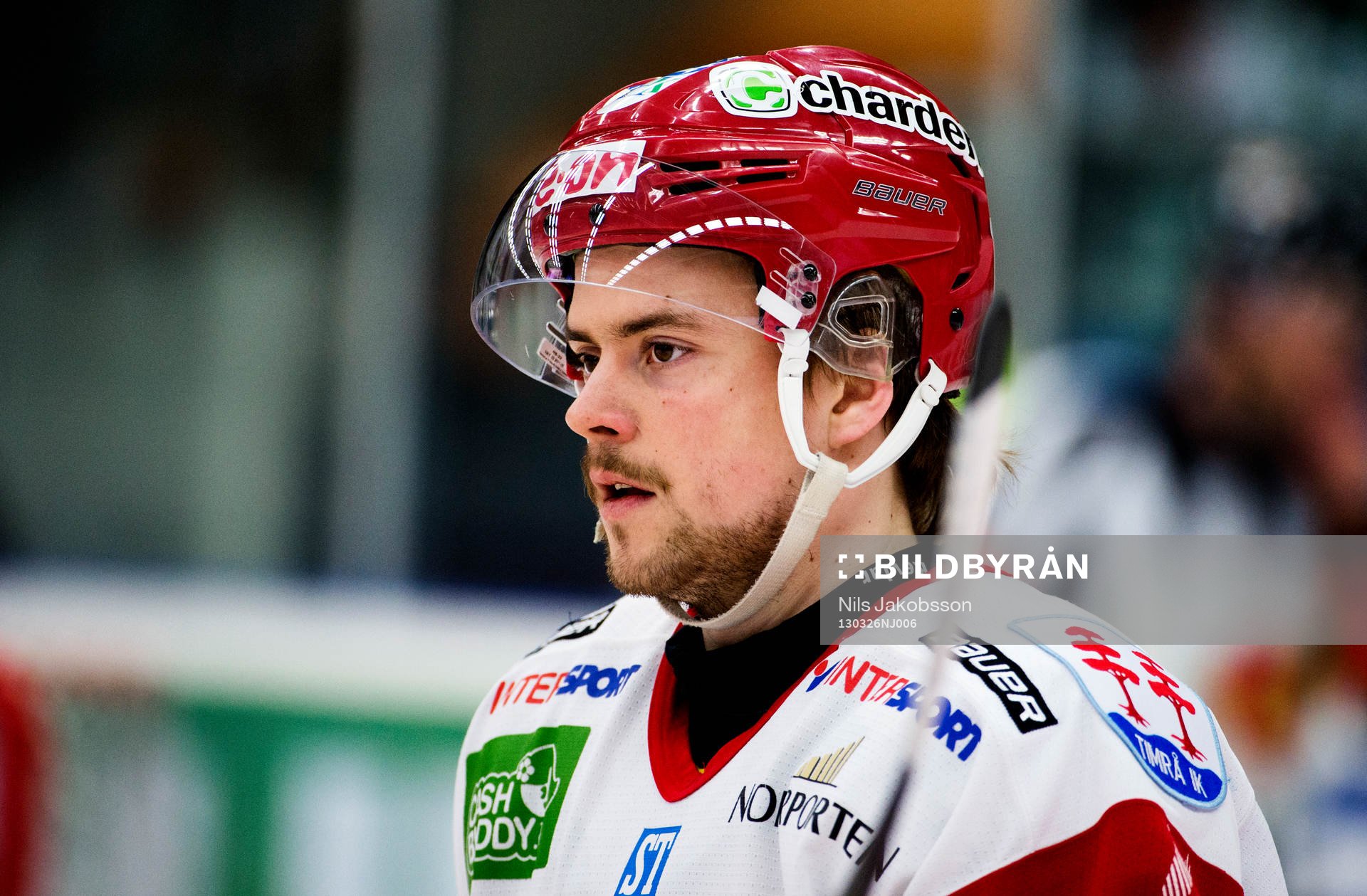 Jesper Dahlroth, Timrå
