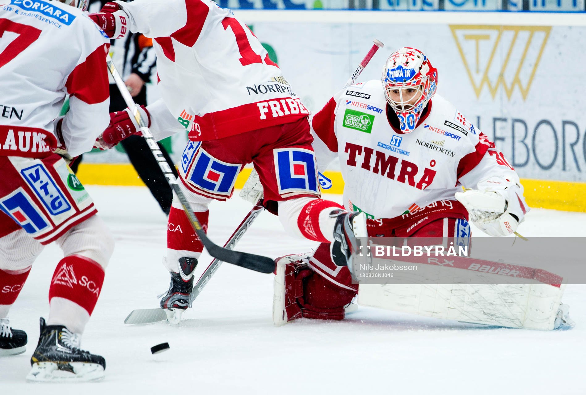 Daniel Bellissimo, målvakt, Timrå