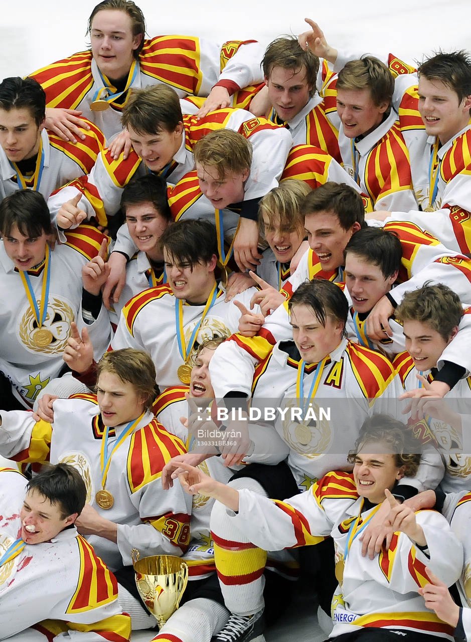 Brynäs guldlag 2013