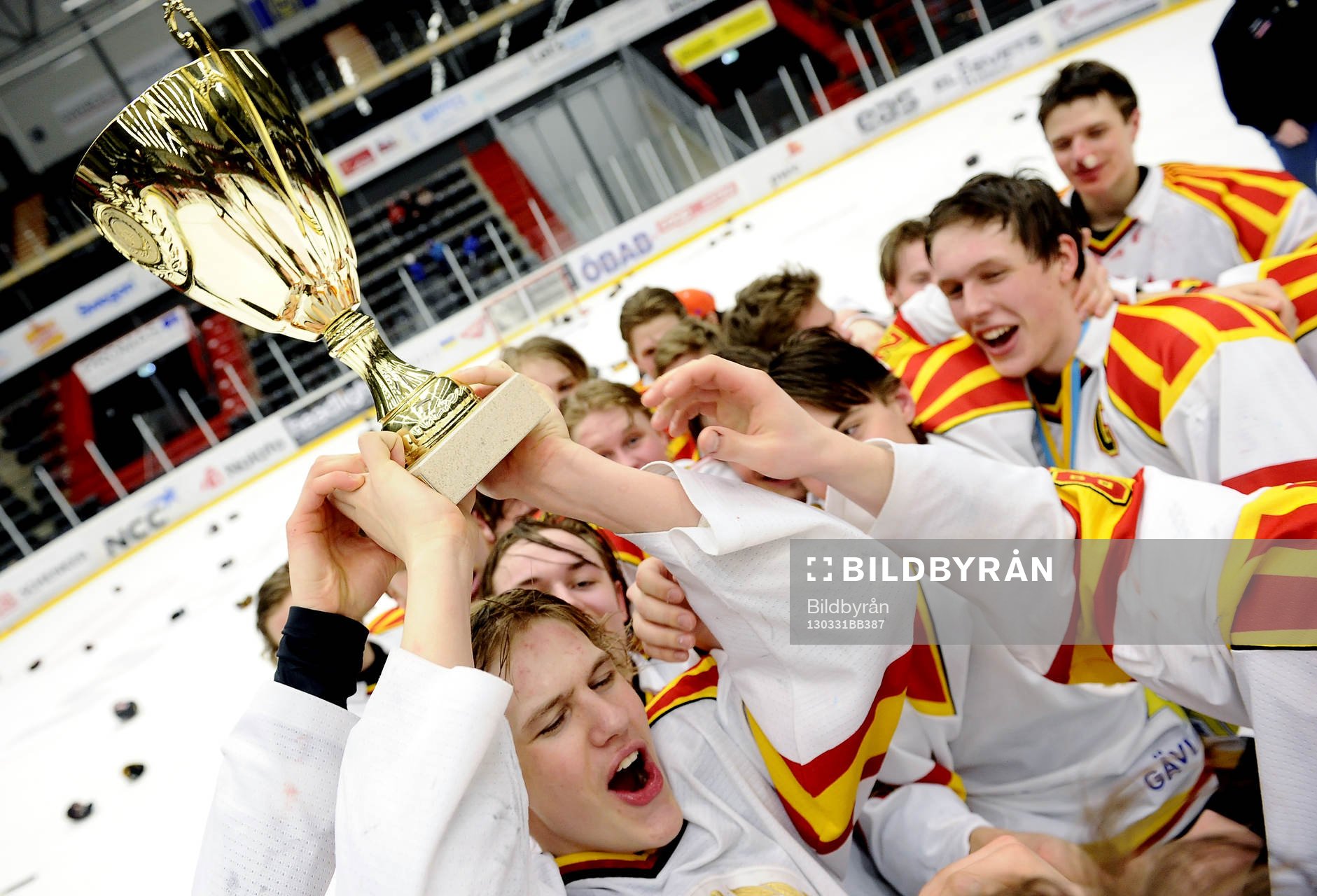 Brynäs laget med SM pokalen