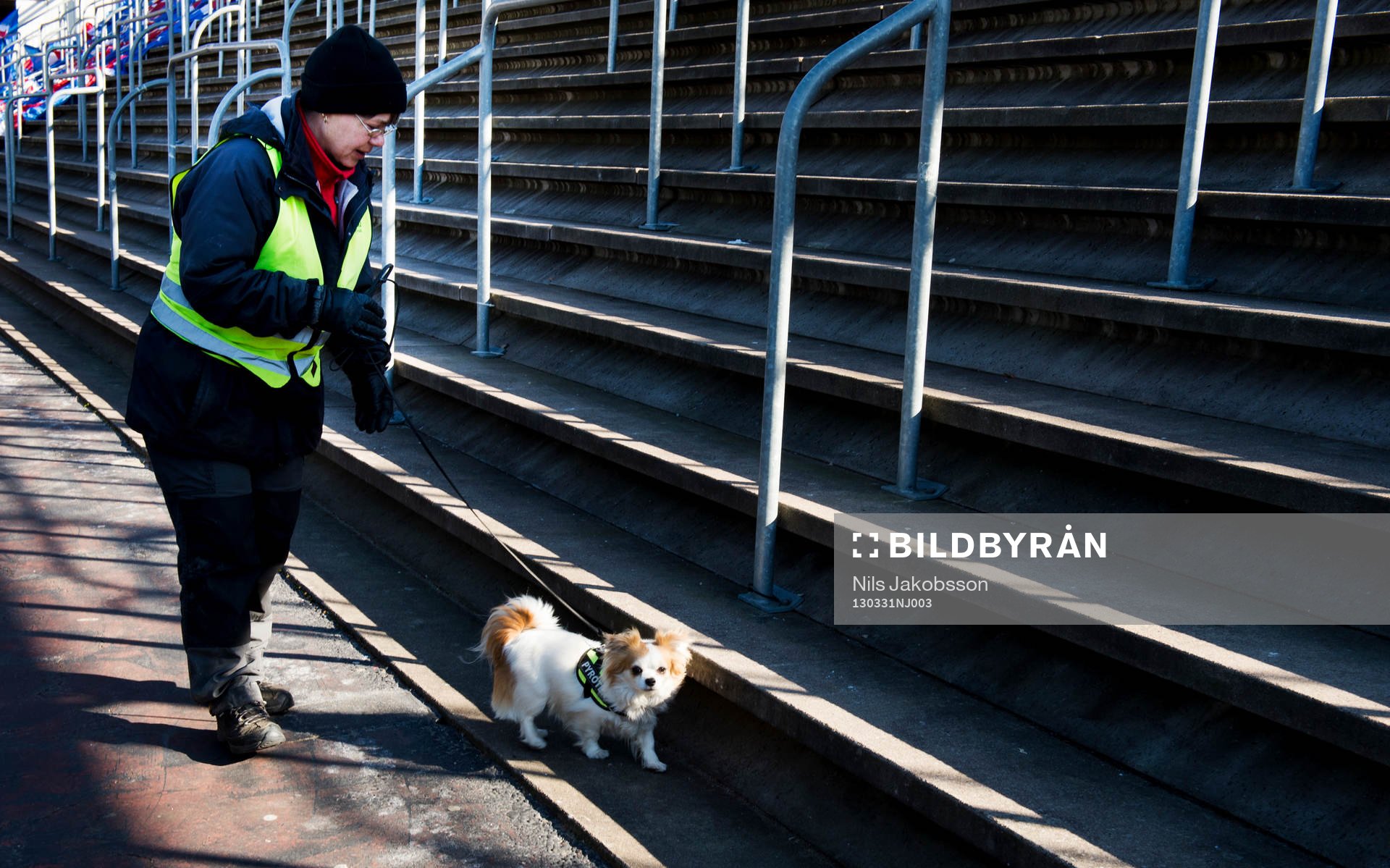 en mycket liten hund är tränad på att hitta pyroteknik