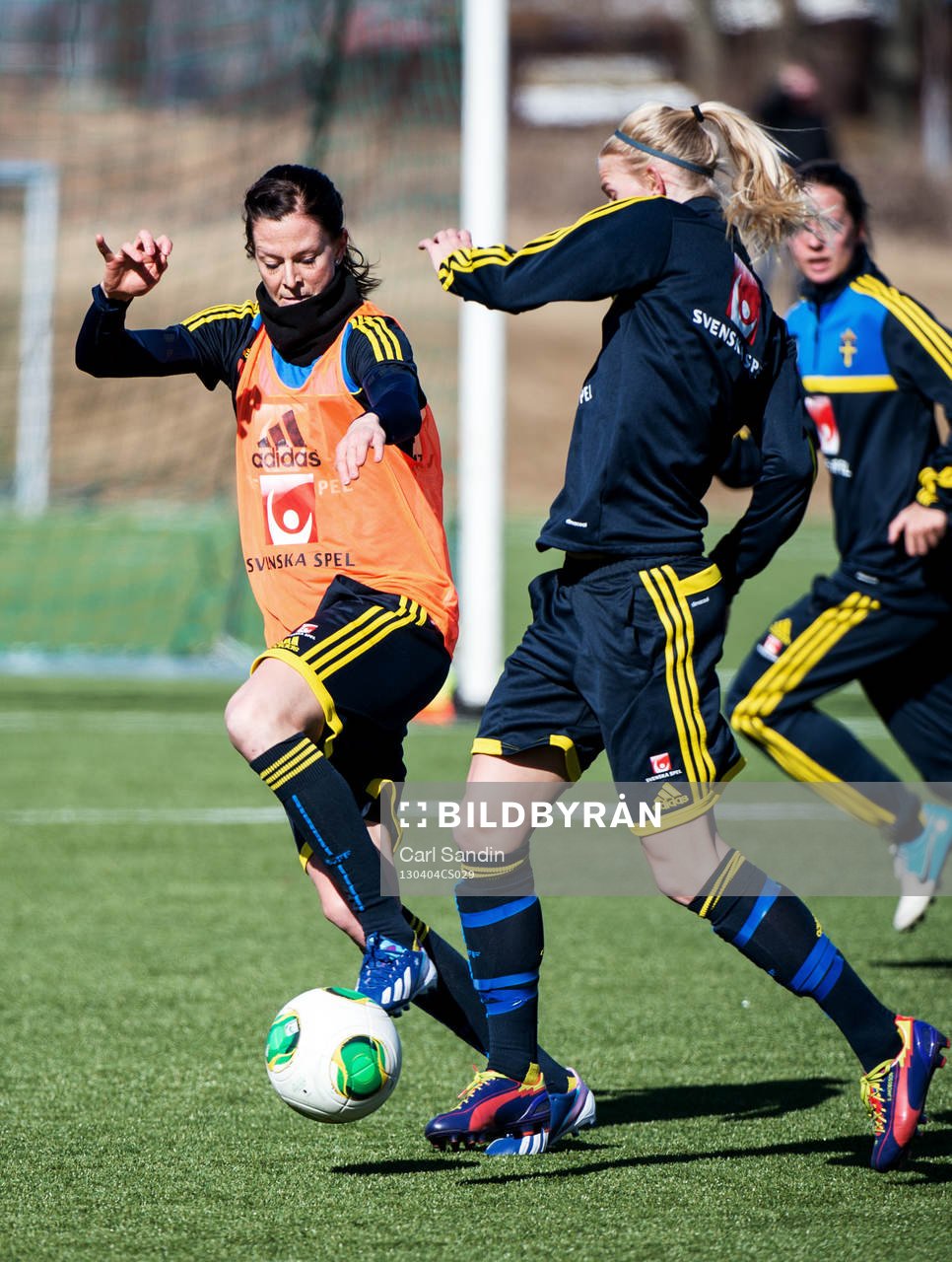 Lotta Schelin, Sverige