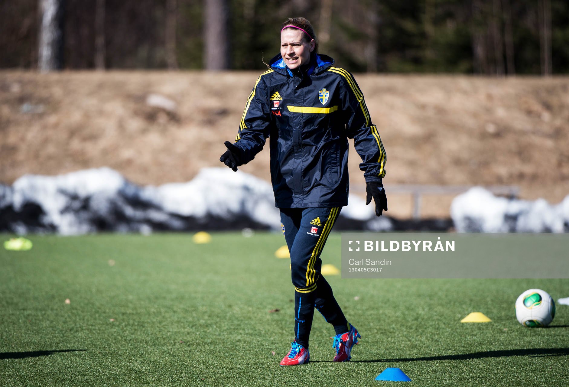 Charlotte Rohlin, Sverige