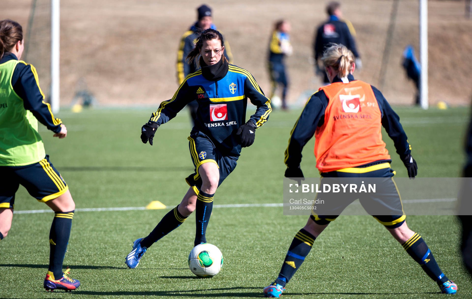 Lotta Schelin, Sverige
