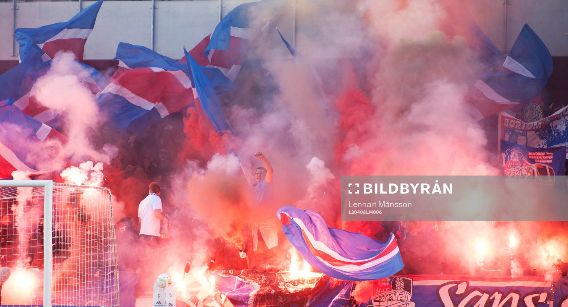 Bengaler som kostar Helsingborg