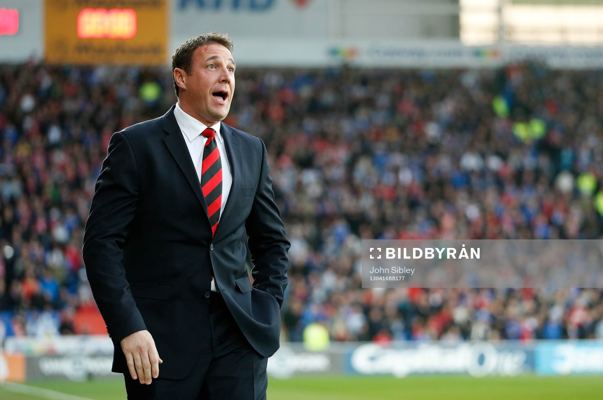 Football - Cardiff City v Charlton Athletic - npower