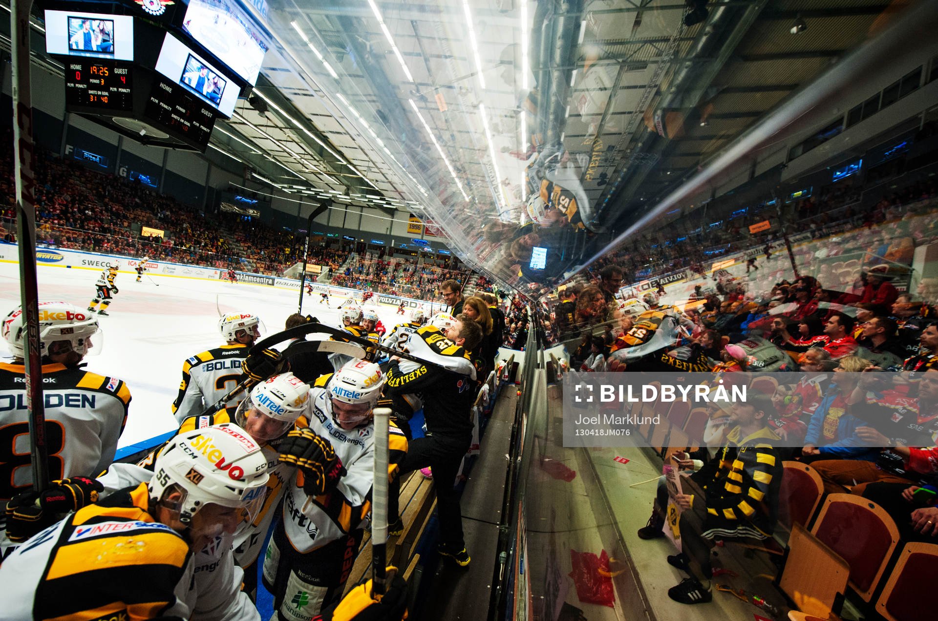 Jubel på Skellefteås bänk när laget firar SM-guld 2013