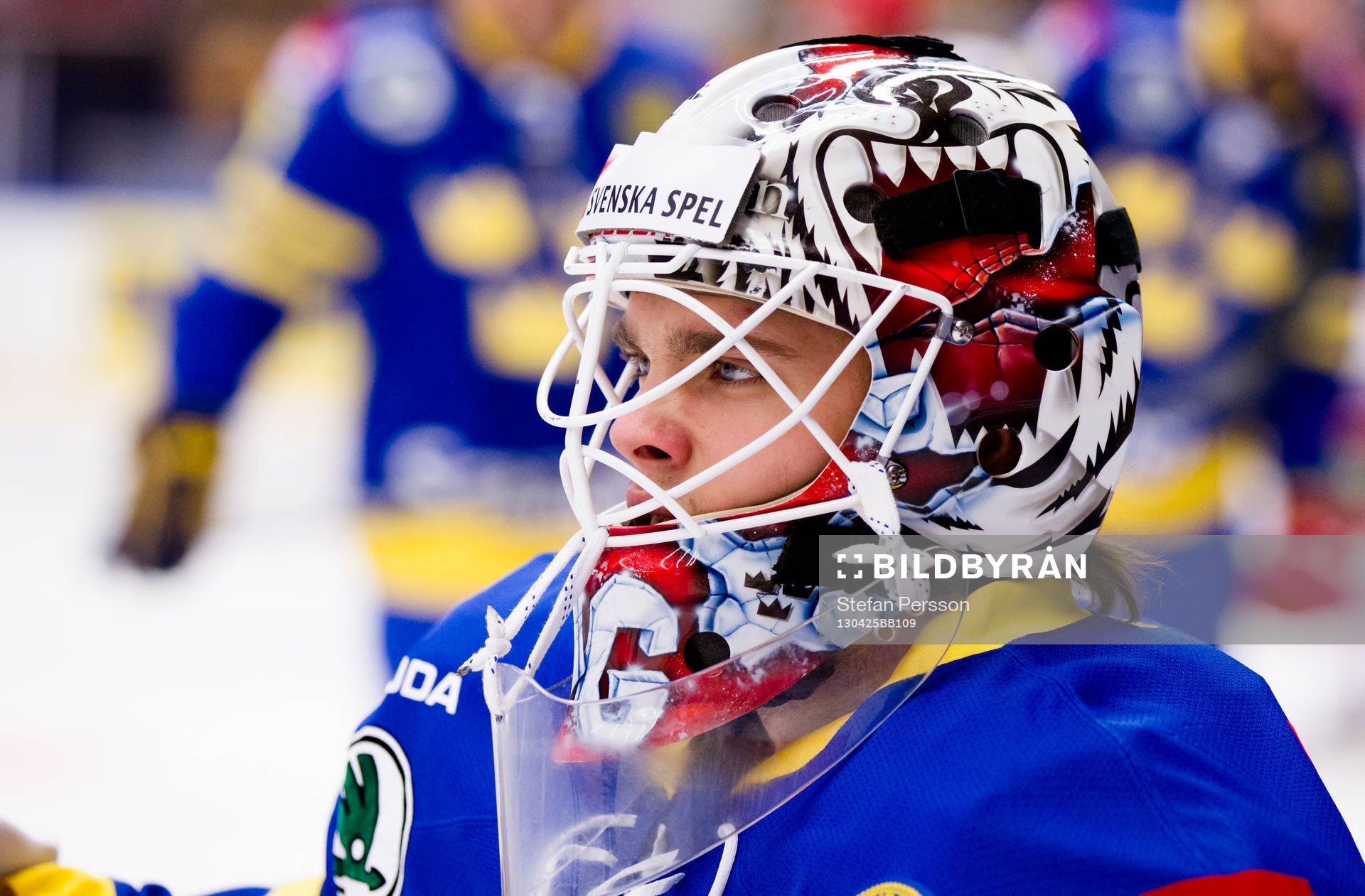 Johan Gustafsson, målvakt, Sverige