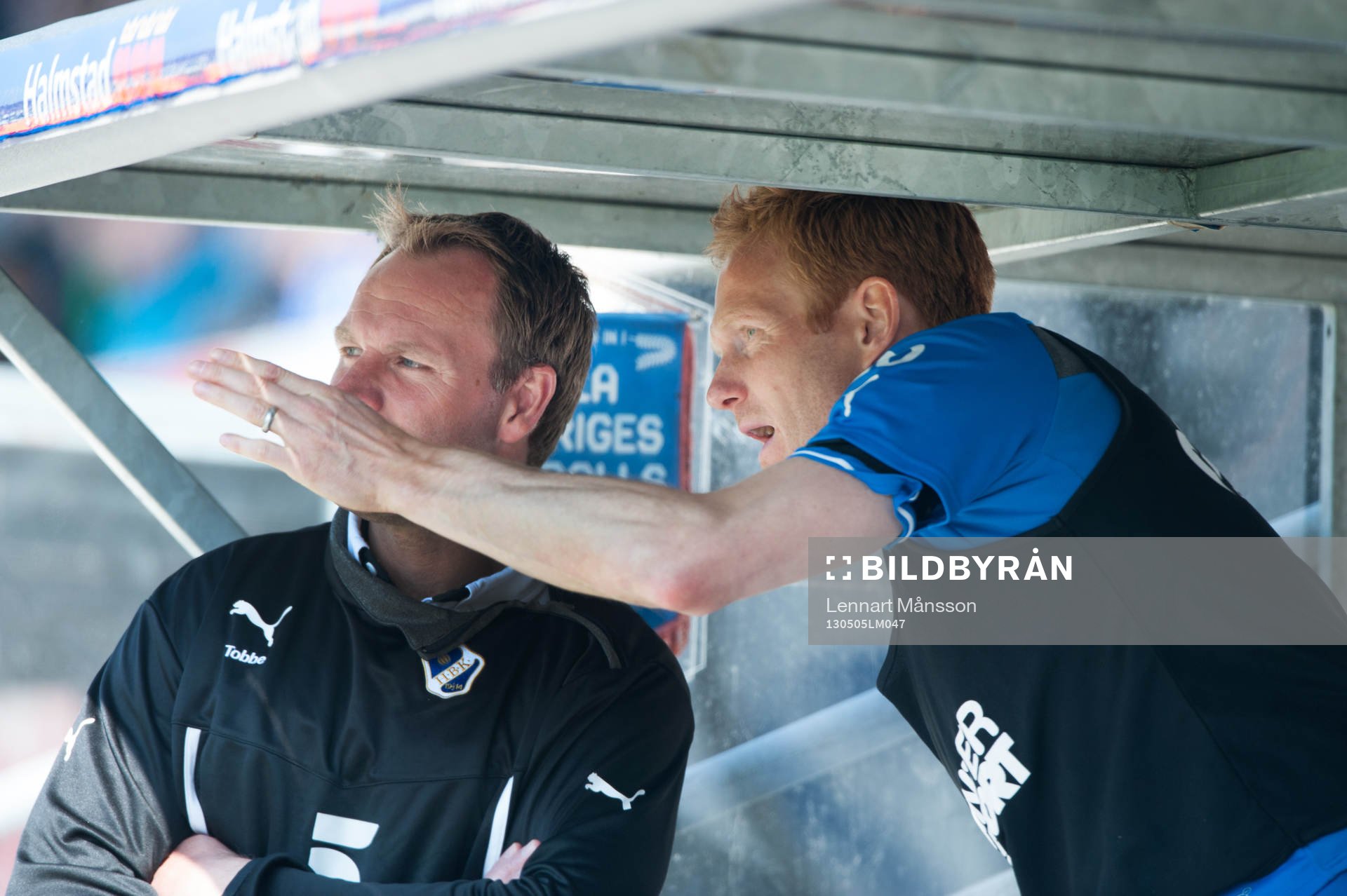 Torbjörn Arvidsson och Michael Svensson, tränare, Halmstad