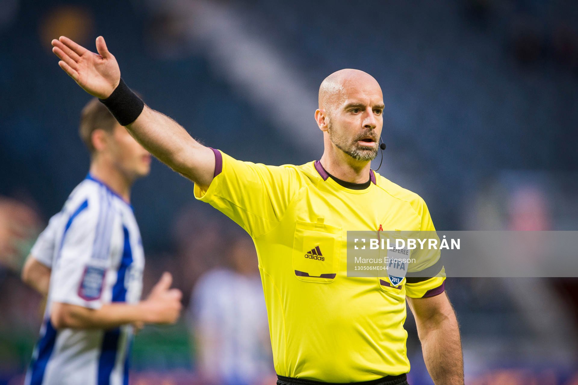 Stefan Johannesson, domare