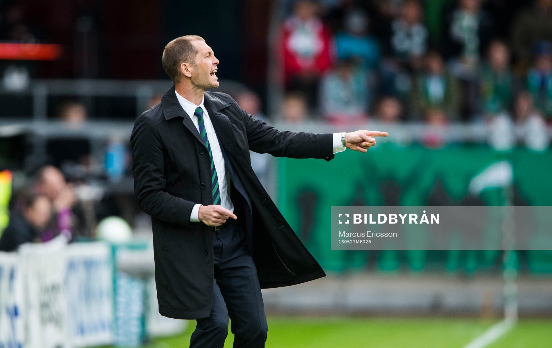Gregg Berhalter, tränare Hammarby
