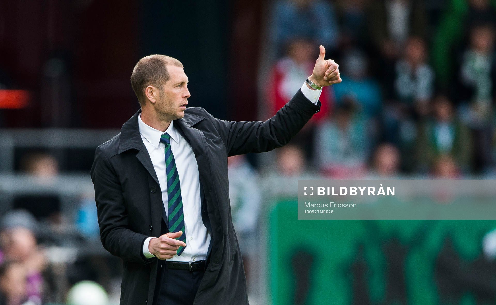 Gregg Berhalter, tränare Hammarby