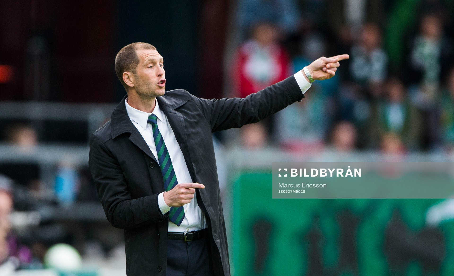 Gregg Berhalter, tränare Hammarby